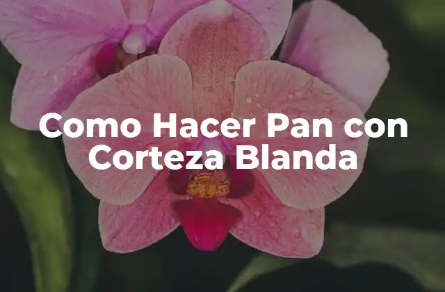 Como Hacer Pan con Corteza Blanda