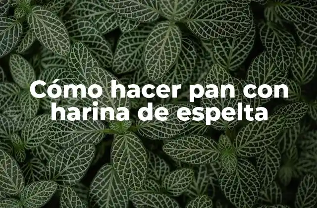 Cómo Hacer Pan con Harina de Espelta