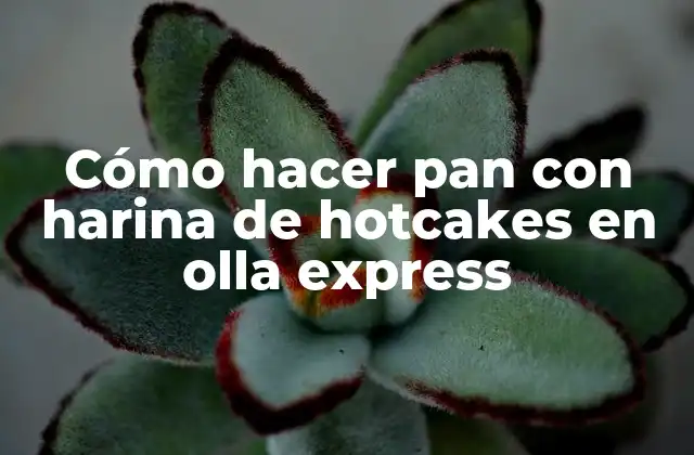 Cómo Hacer Pan con Harina de Hotcakes en Olla Express