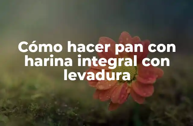 Cómo Hacer Pan con Harina Integral con Levadura