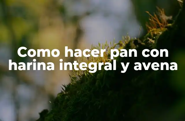 Como Hacer Pan con Harina Integral y Avena