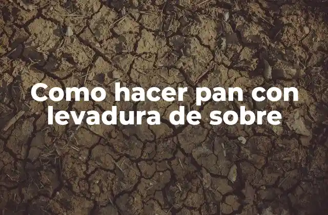 ¿Qué es la levadura de sobre y para qué sirve en la elaboración de pan?