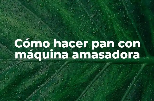 Cómo Hacer Pan con Máquina Amasadora