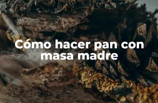 Cómo Hacer Pan con Masa Madre 2 ¿Qué es la masa madre y para qué sirve?
