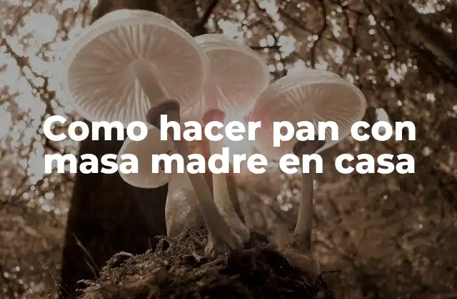 Como Hacer Pan con Masa Madre en Casa