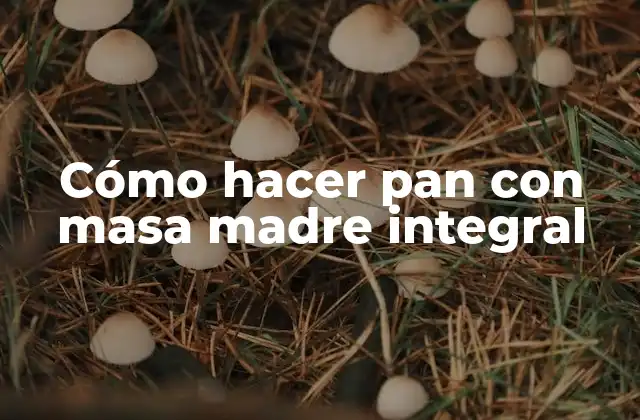 Cómo Hacer Pan con Masa Madre Integral