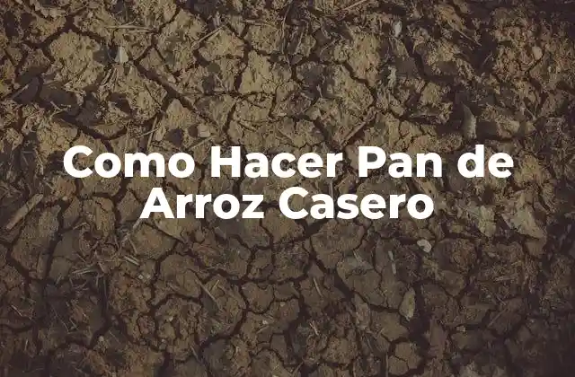 Como Hacer Pan de Arroz Casero