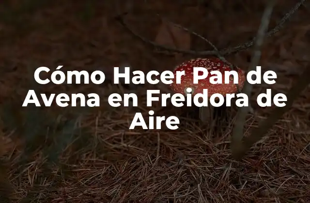 ¿Qué es el Pan de Avena en Freidora de Aire?