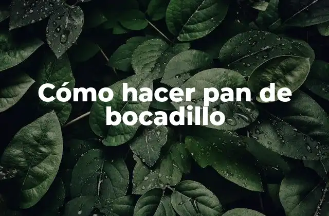 Cómo Hacer Pan de Bocadillo 2 Qué es el pan de bocadillo y para qué sirve