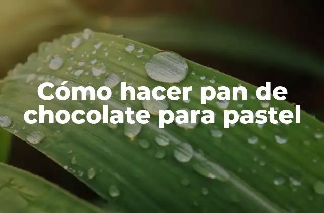 Cómo Hacer Pan de Chocolate para Pastel