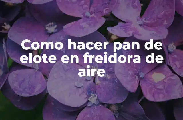 Como Hacer Pan de Elote en Freidora de Aire