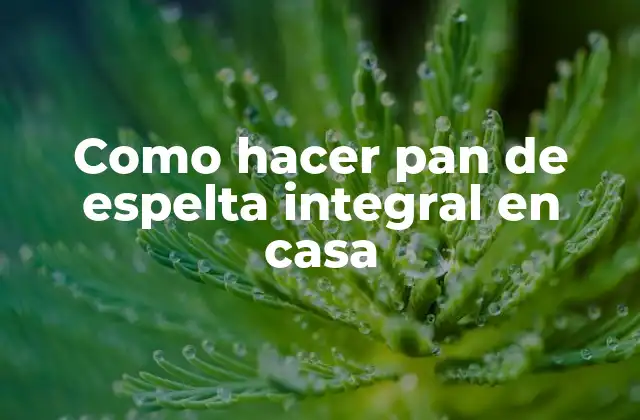 Como Hacer Pan de Espelta Integral en Casa 2 Pan de espelta integral
