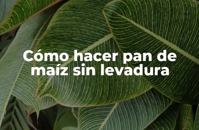 Cómo Hacer Pan de Maíz sin Levadura