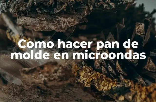 Como Hacer Pan de Molde en Microondas