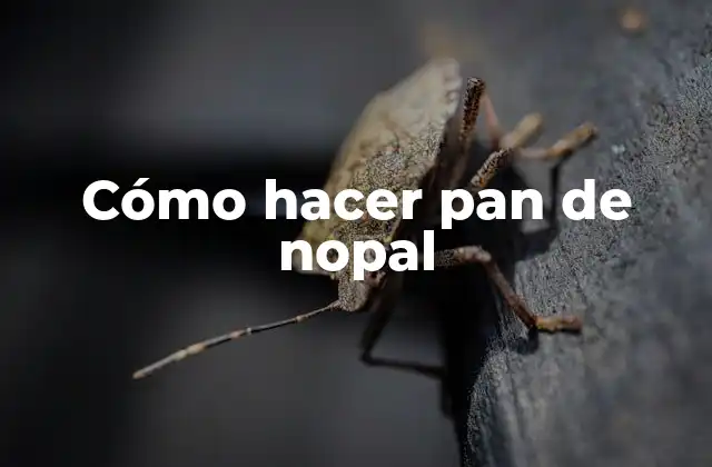 Qué es el pan de nopal y para qué sirve