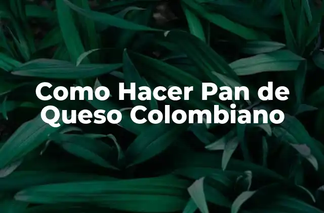 ¿Qué es el Pan de Queso Colombiano y Para Qué Sirve?