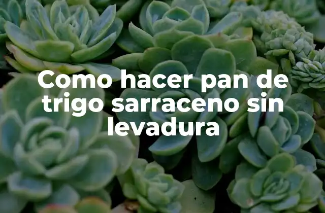 Como Hacer Pan de Trigo Sarraceno sin Levadura