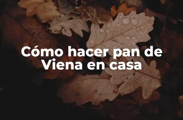 Cómo Hacer Pan de Viena en Casa 2 Pan de Viena