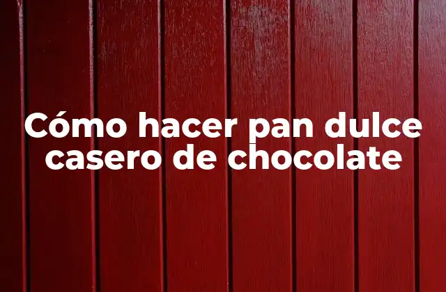 Cómo Hacer Pan Dulce Casero de Chocolate