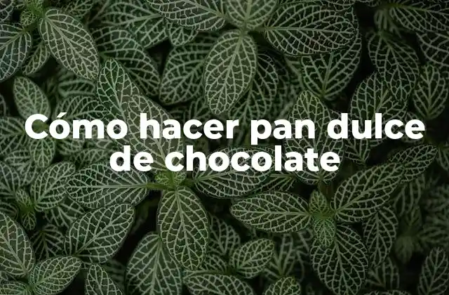 Cómo Hacer Pan Dulce de Chocolate 2 ¿Qué es el pan dulce de chocolate y para qué sirve?