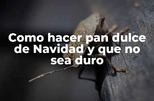 Como Hacer Pan Dulce de Navidad y que No Sea Duro