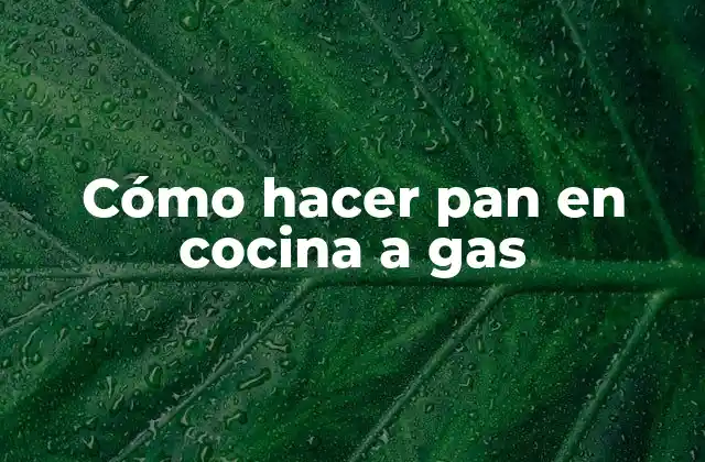 Cómo Hacer Pan en Cocina a Gas