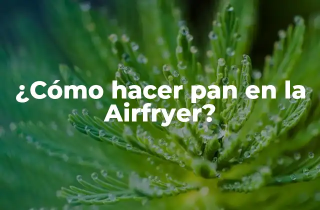 ¿cómo Hacer Pan en la Airfryer?