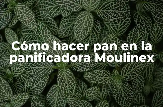Cómo Hacer Pan en la Panificadora Moulinex