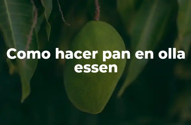 Como Hacer Pan en Olla Essen