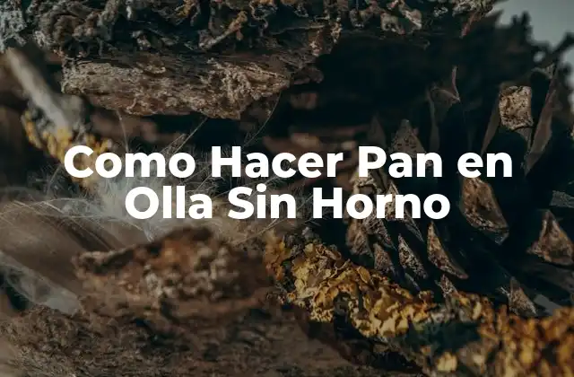 Como Hacer Pan en Olla sin Horno 2 Como Hacer Pan en Olla Sin Horno