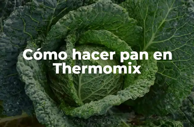 Cómo Hacer Pan en Thermomix