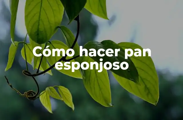 Cómo hacer pan esponjoso