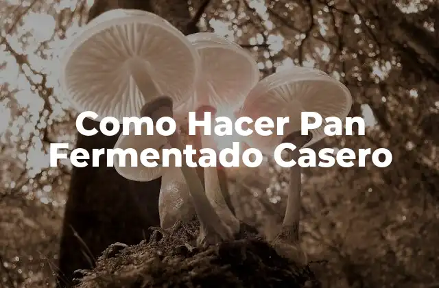 Como Hacer Pan Fermentado Casero