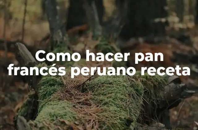 Como Hacer Pan Francés Peruano Receta