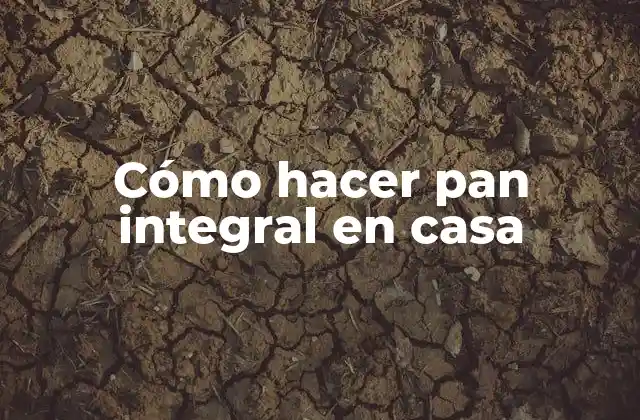 ¿Qué es el pan integral?