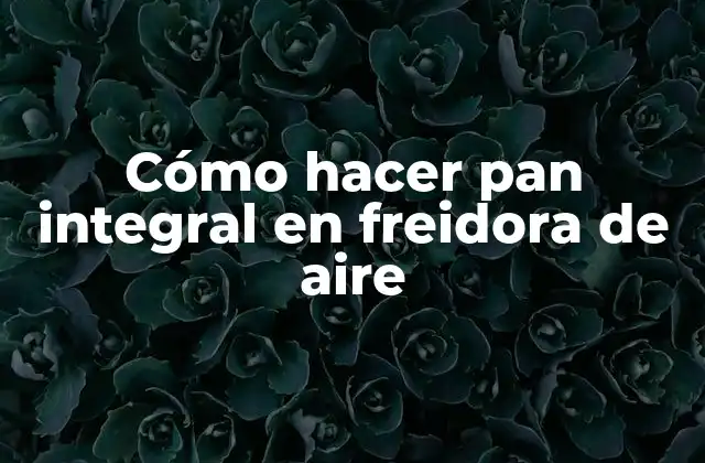 Cómo Hacer Pan Integral en Freidora de Aire
