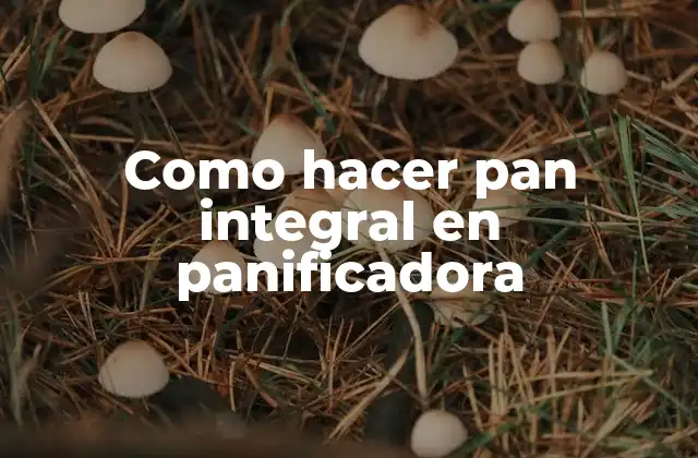 Como hacer pan integral en panificadora
