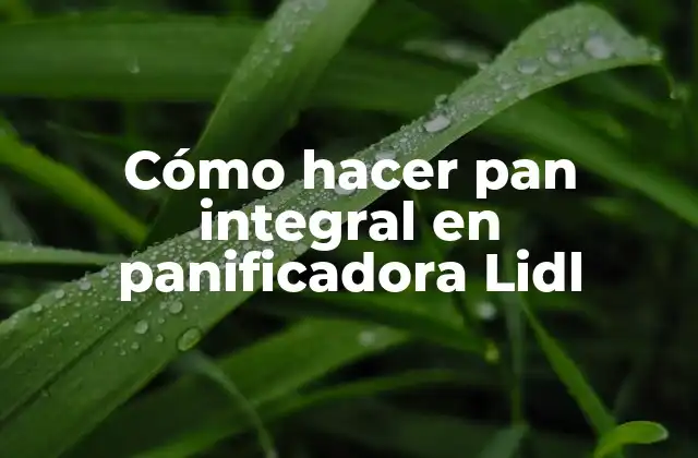 Cómo Hacer Pan Integral en Panificadora Lidl