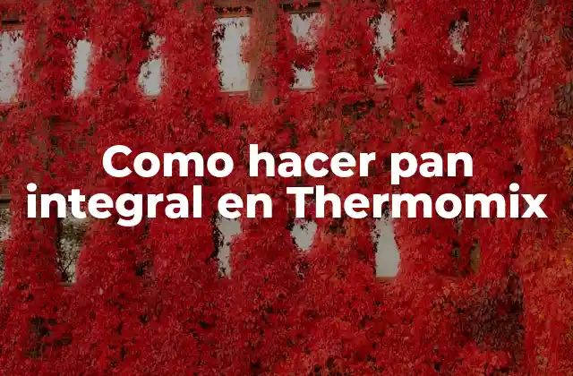 Como Hacer Pan Integral en Thermomix