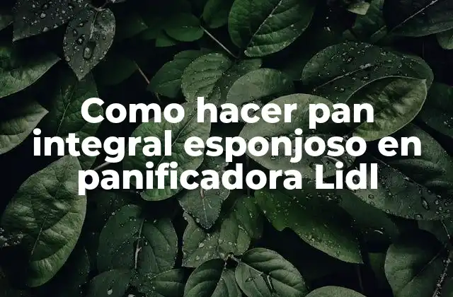 Como Hacer Pan Integral Esponjoso en Panificadora Lidl