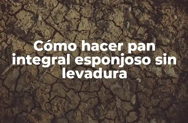 Cómo Hacer Pan Integral Esponjoso sin Levadura