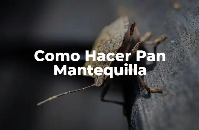 ¿Qué es el Pan Mantequilla?