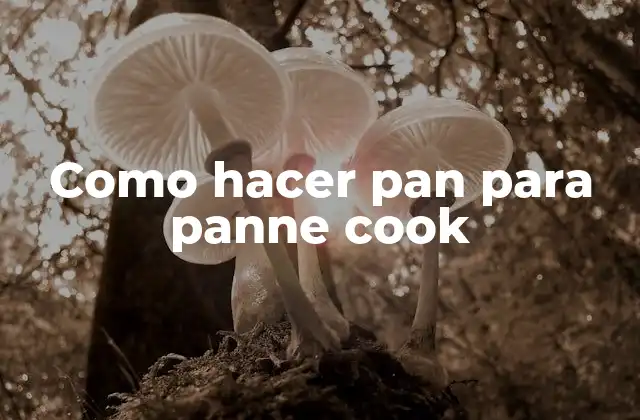 Como Hacer Pan para Panne Cook
