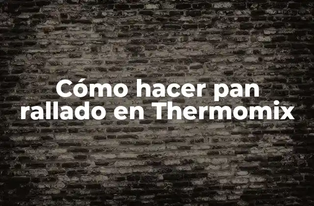 Cómo Hacer Pan Rallado en Thermomix