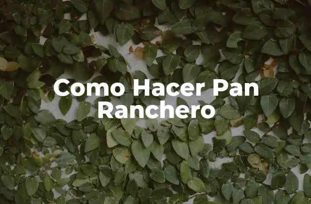 Como Hacer Pan Ranchero