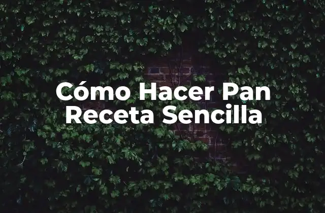 Cómo Hacer Pan Receta Sencilla