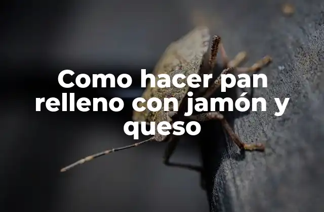 Como Hacer Pan Relleno con Jamón y Queso