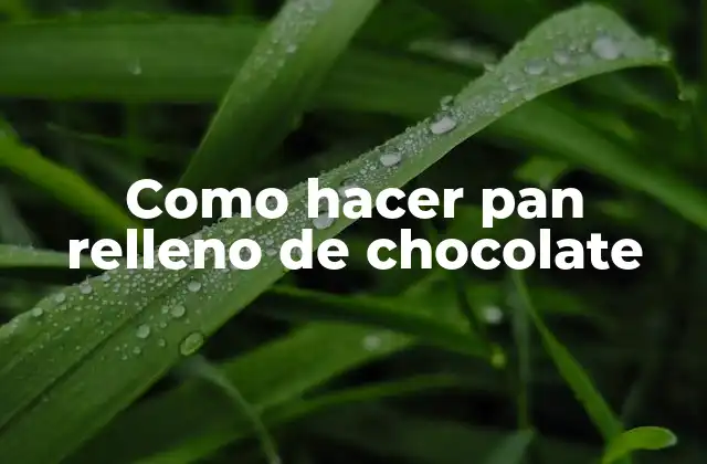 Como Hacer Pan Relleno de Chocolate