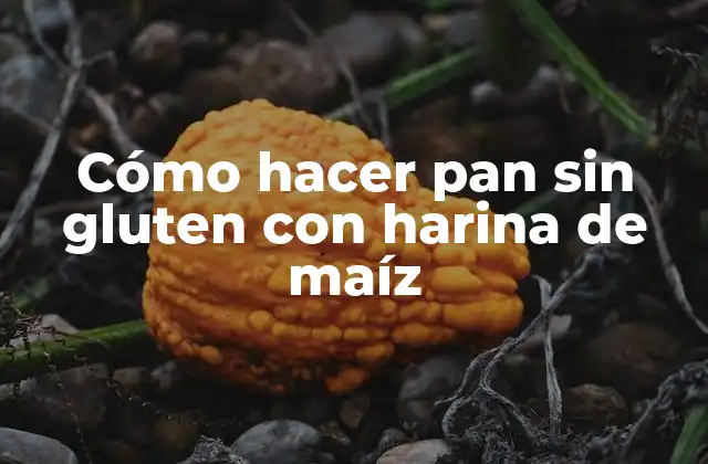 Cómo Hacer Pan sin Gluten con Harina de Maíz