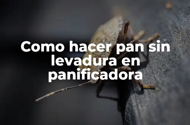 Como Hacer Pan sin Levadura en Panificadora